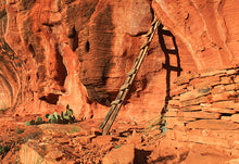 Load image into Gallery viewer, ARIZONA FULL BUNDLE - Over 2000 Sites Included!