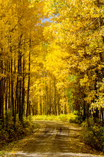 Load image into Gallery viewer, WESTERN COLORADO (FULL BUNDLE)