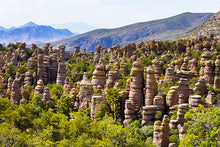 Load image into Gallery viewer, ARIZONA FULL BUNDLE - Over 2000 Sites Included!