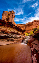Load image into Gallery viewer, South Central Utah Ruins & Rock Art (Over 400 Sites Included)