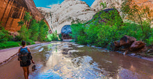 Load image into Gallery viewer, South Central Utah Ruins & Rock Art (Over 400 Sites Included)