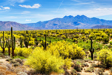 Load image into Gallery viewer, ARIZONA FULL BUNDLE - Over 2000 Sites Included!