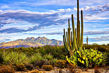 Load image into Gallery viewer, ARIZONA FULL BUNDLE - Over 2000 Sites Included!