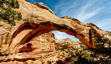 Load image into Gallery viewer, South Central Utah Ruins & Rock Art (Over 400 Sites Included)