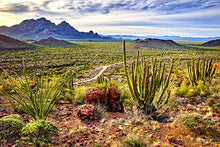 Load image into Gallery viewer, Southern Arizona Ruins & Rock Art - Over 300 Sites Included