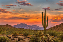 Load image into Gallery viewer, ARIZONA FULL BUNDLE - Over 2000 Sites Included!