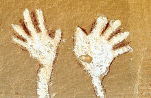 Load image into Gallery viewer, WESTERN COLORADO (FULL BUNDLE)