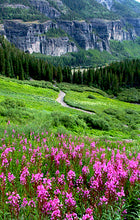 Load image into Gallery viewer, WESTERN COLORADO (FULL BUNDLE)