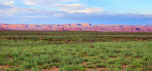 Load image into Gallery viewer, Heavy rains in the summer of 2022 turned the approach to Cedar Mesa green.