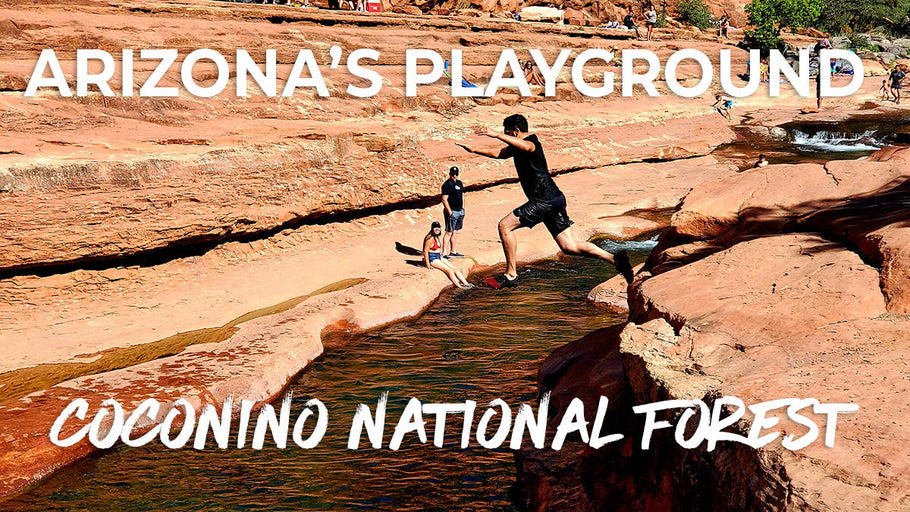 Arizona's Favorite Playground: The Coconino National Forest