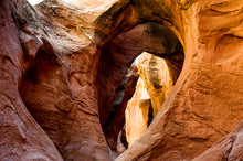 Load image into Gallery viewer, THE FULL SOUTHWEST BUNDLE
