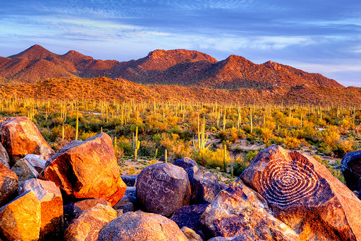 Southern Arizona Ruins & Rock Art - Over 300 Sites Included – The