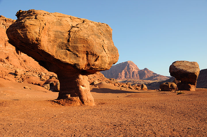 GALLERY アートフィールドウォーキングガイド NORTHERN ARIZONA & SEDONA - Cliff Dwellings & Rock Art - Over 800